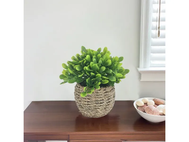 GTIN-6974221244373-04