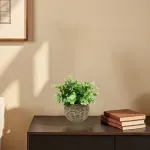 GTIN-6974221244380-04