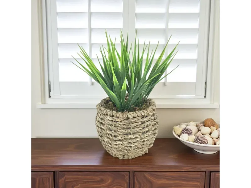 GTIN-6974221244366-04