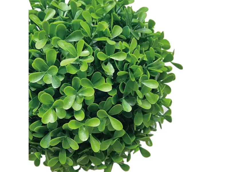 GTIN-6974221246551-02