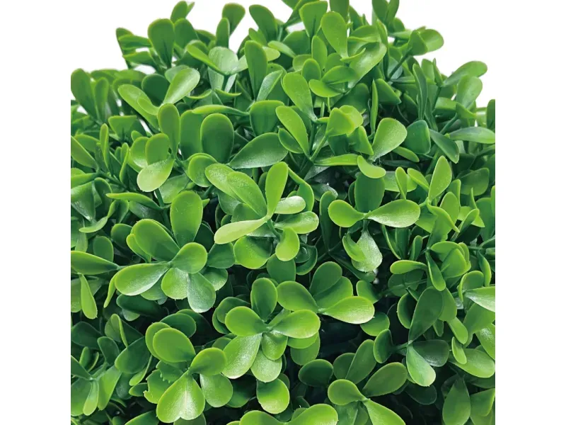 GTIN-6974221246551-03