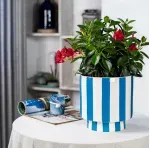 GTIN-6952397406405-06