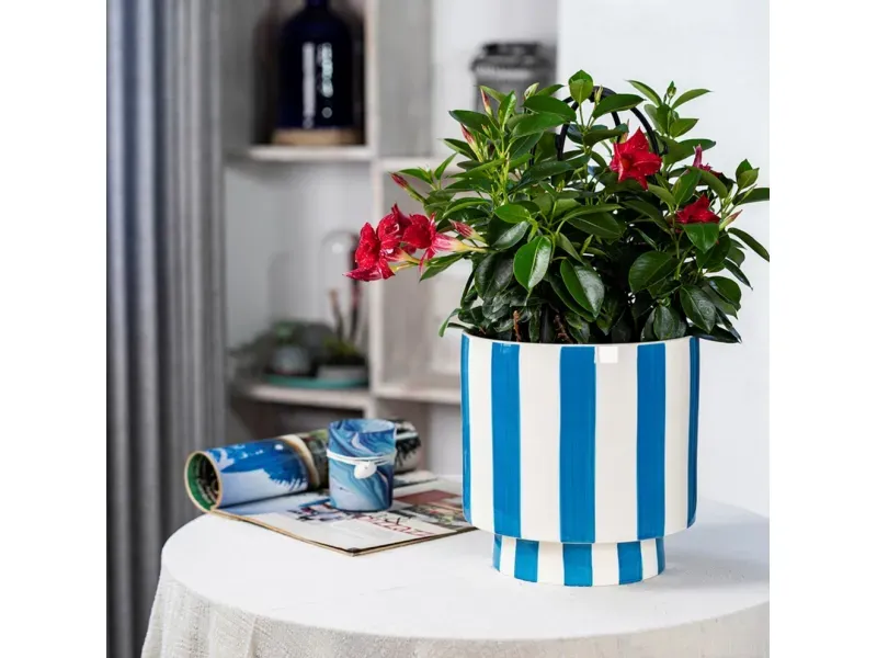 GTIN-6952397406405-06