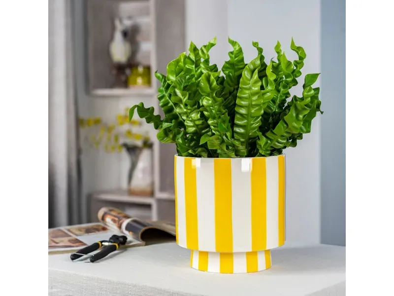 GTIN-6952397406115-06