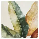 GTIN-6937358313633-01