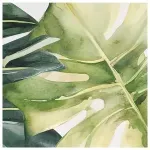 GTIN-6937358313664-01