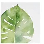 GTIN-6937358313657-01