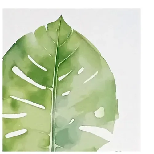 Ms Canvas Disenos Hojas 40x50cm