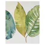 GTIN-6937358313657-05