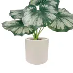 GTIN-6974221244458-03