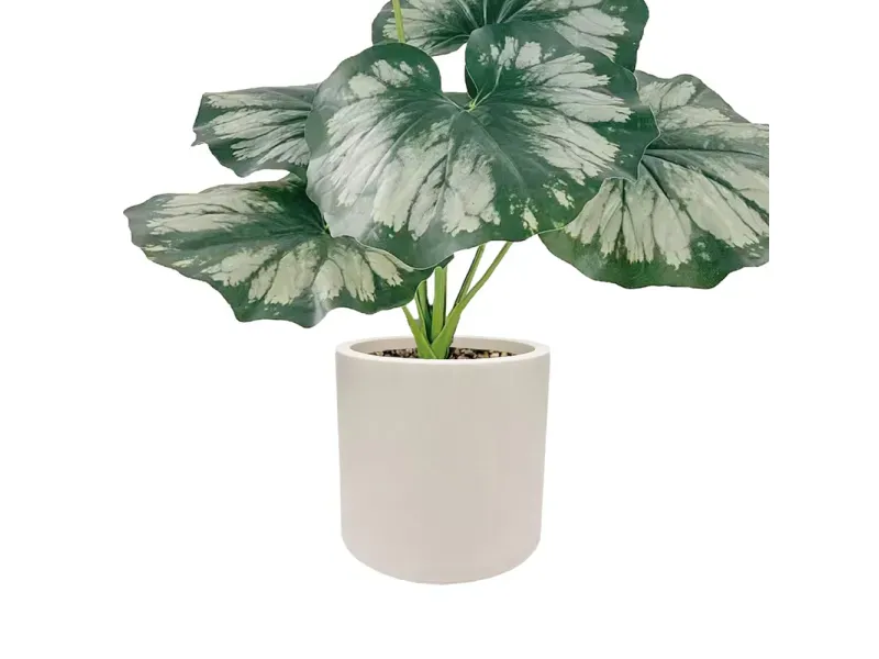 GTIN-6974221244458-03