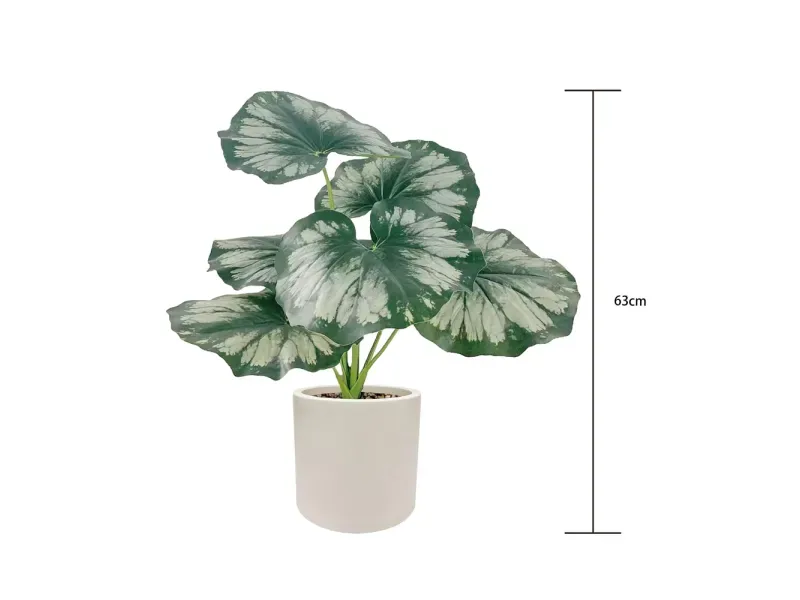 GTIN-6974221244458-04