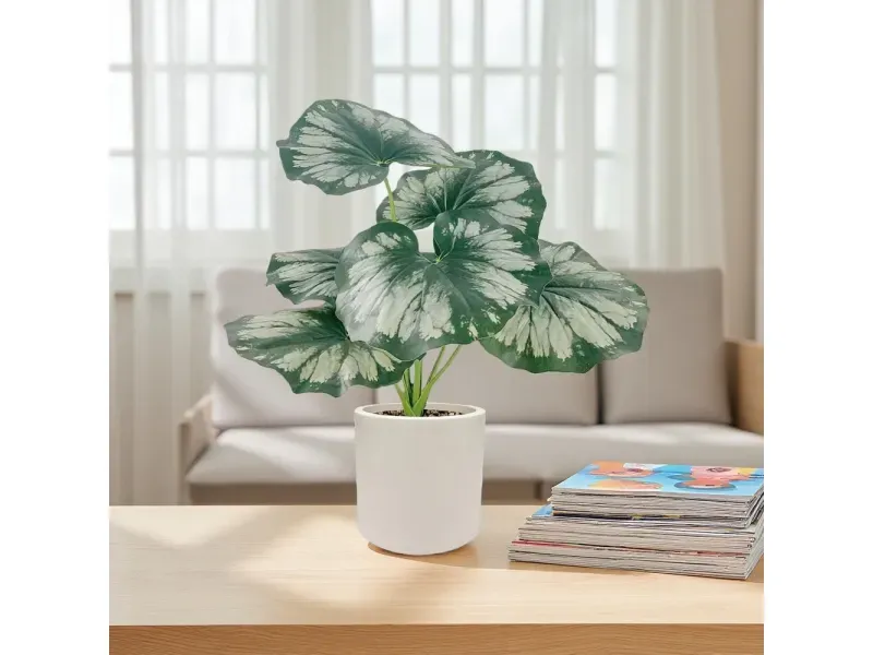 GTIN-6974221244458-05