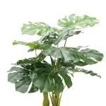 GTIN-6974221244465-02