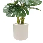 GTIN-6974221244465-03