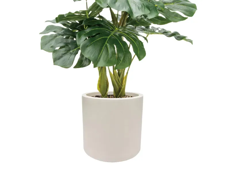 GTIN-6974221244465-03