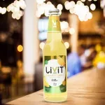 GTIN-7422111061924-04