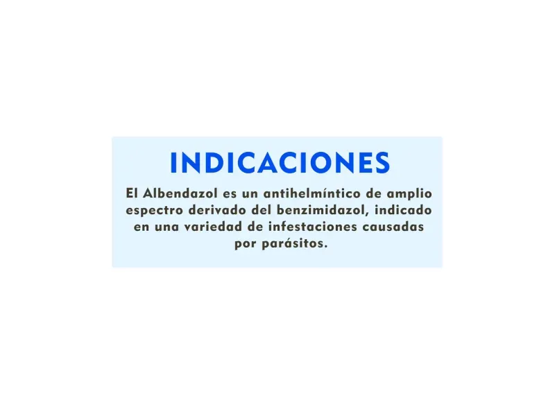 GTIN-0000074101818-07