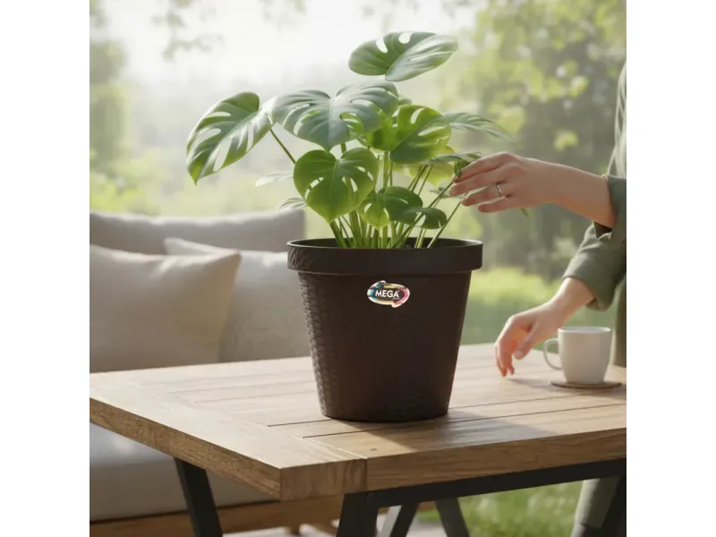 GTIN-7488501750700-03