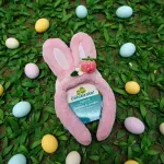 GTIN-1041838424148-04