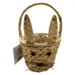 GTIN-1041838424230-01