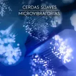 000000000075388915-UN-04