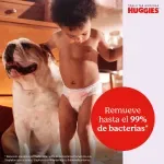 GTIN-0036000487497-05