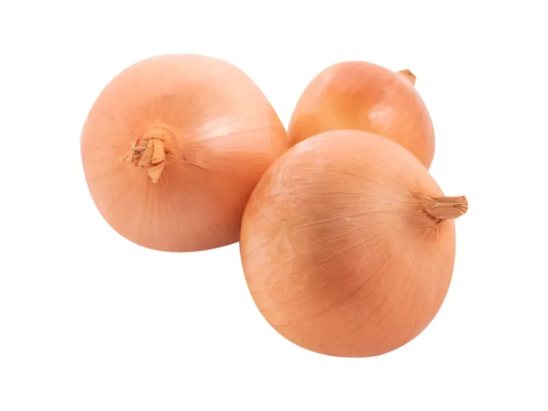 GTIN-0000000040938-02