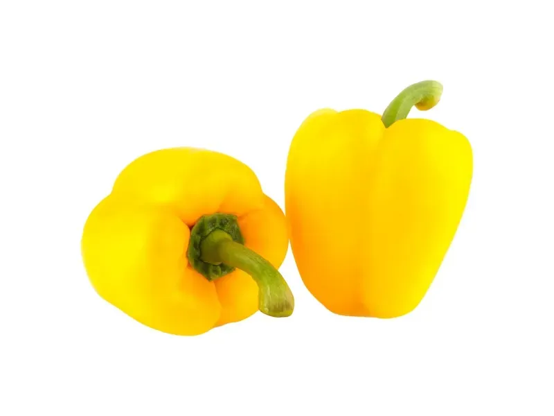 GTIN-0000000046893-01