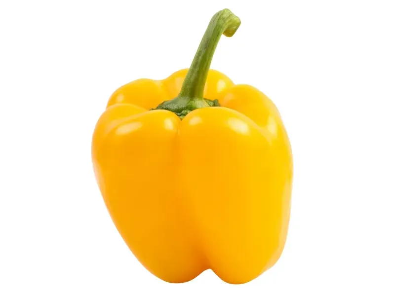 GTIN-0000000046893-02