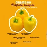 GTIN-0000000046893-03