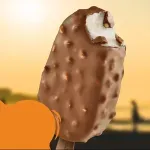 000000000009108442-UN-04