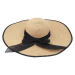 GTIN-6955599815631-01