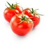 GTIN-0000000034234-02