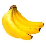 GTIN-0000000040112-02