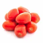 GTIN-0000000072786-02