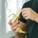 GTIN-0000000081566-04