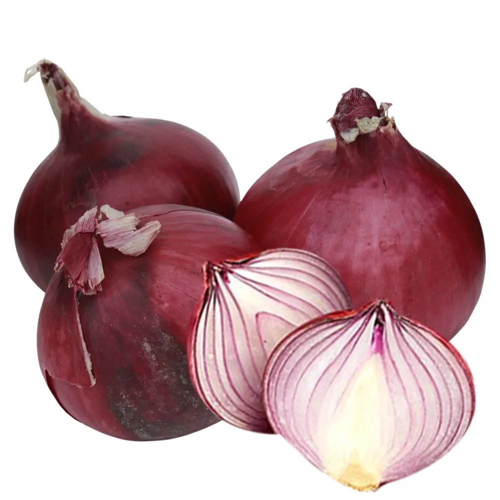 cebolla-morada-venta-por-libra-2571530000009