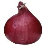 GTIN-0000000071536-02