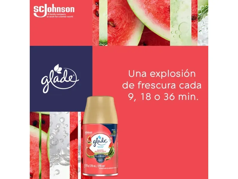 GTIN-7503036165598-03