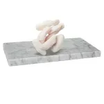 GTIN-2596310000000-03