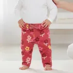 GTIN-0015209707520-04