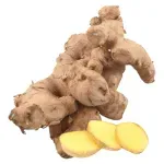 GTIN-0000000073165-01