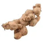 GTIN-0000000073165-03