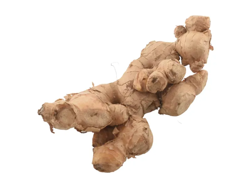 GTIN-0000000073165-03