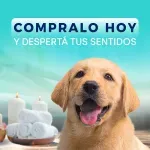 GTIN-7441008104612-06