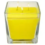 GTIN-0081433354281-01