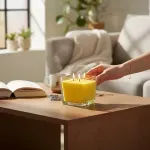 GTIN-0081433354281-02