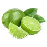 GTIN-0000000071789-01