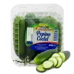 GTIN-0608312004954-01